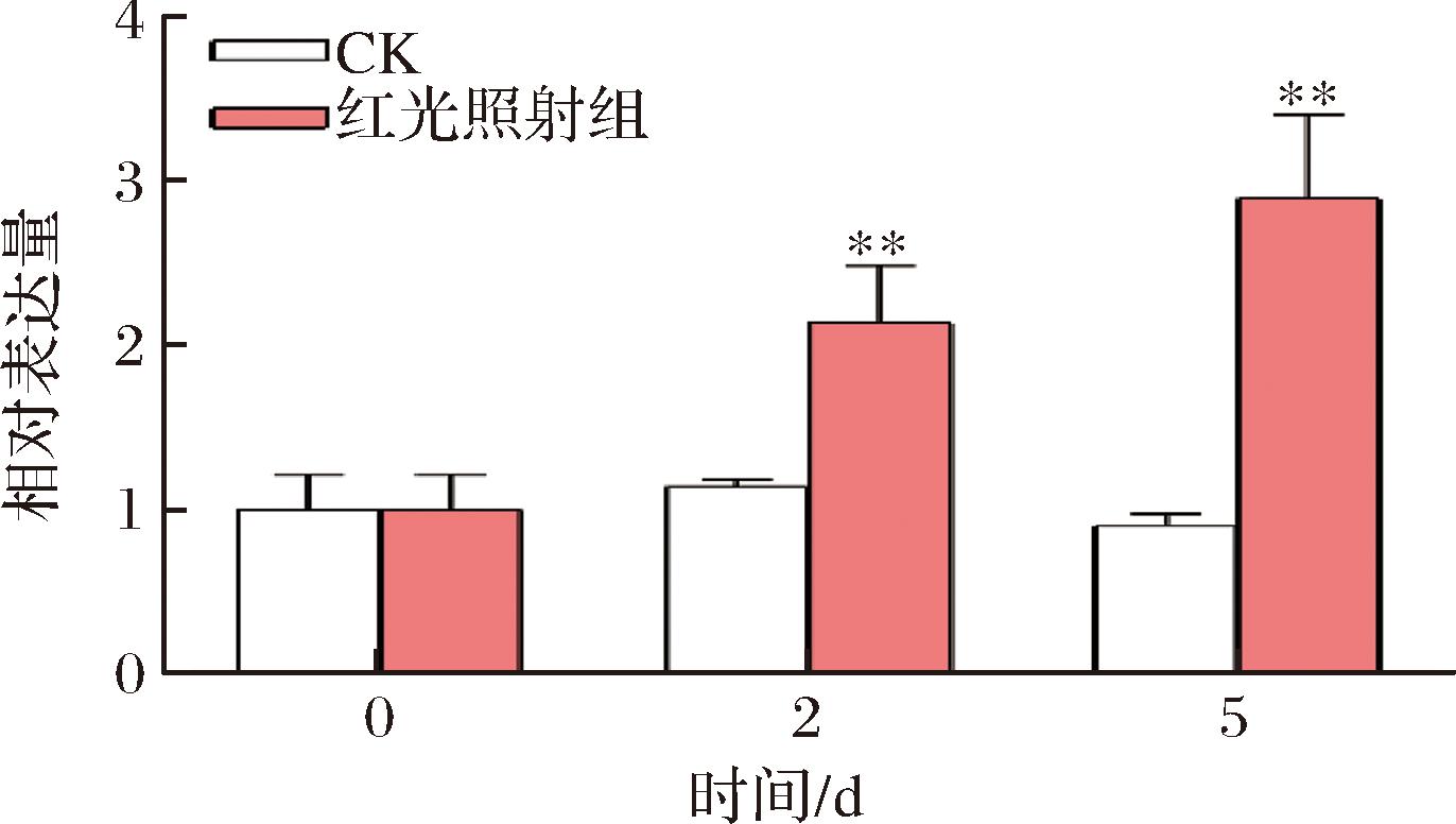 width=251,height=142,dpi=110
