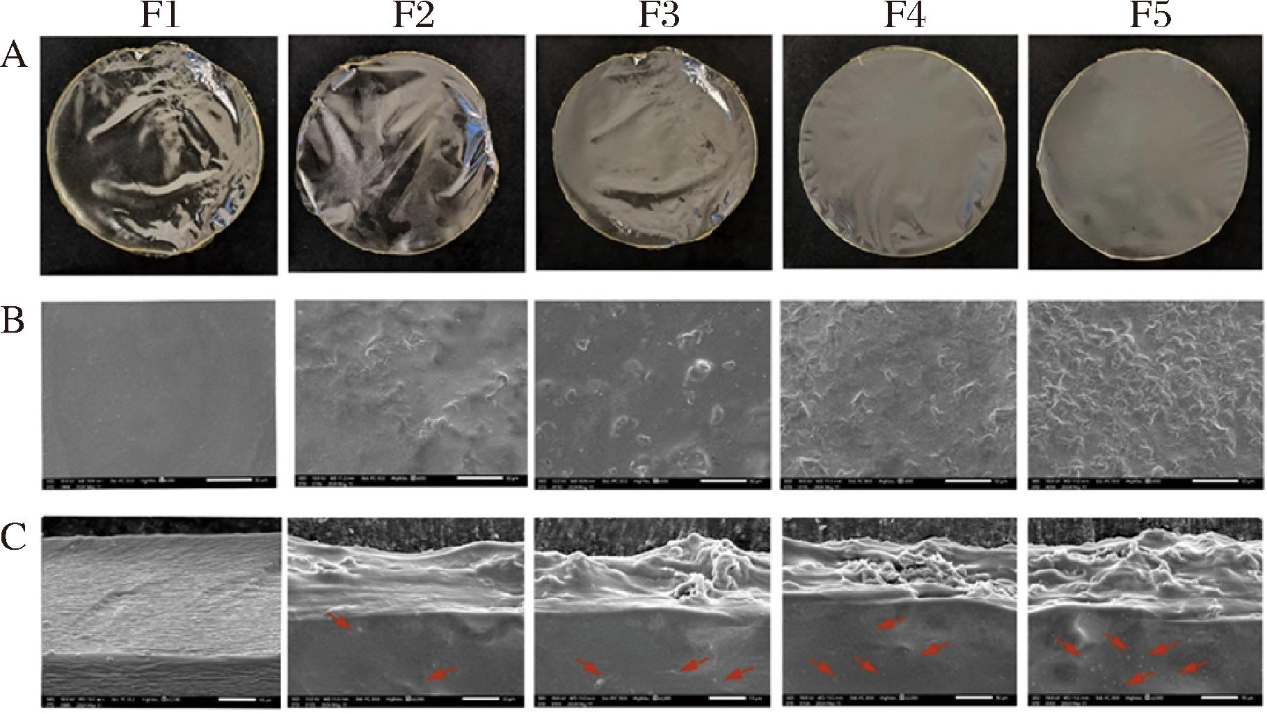 width=333,height=188,dpi=110