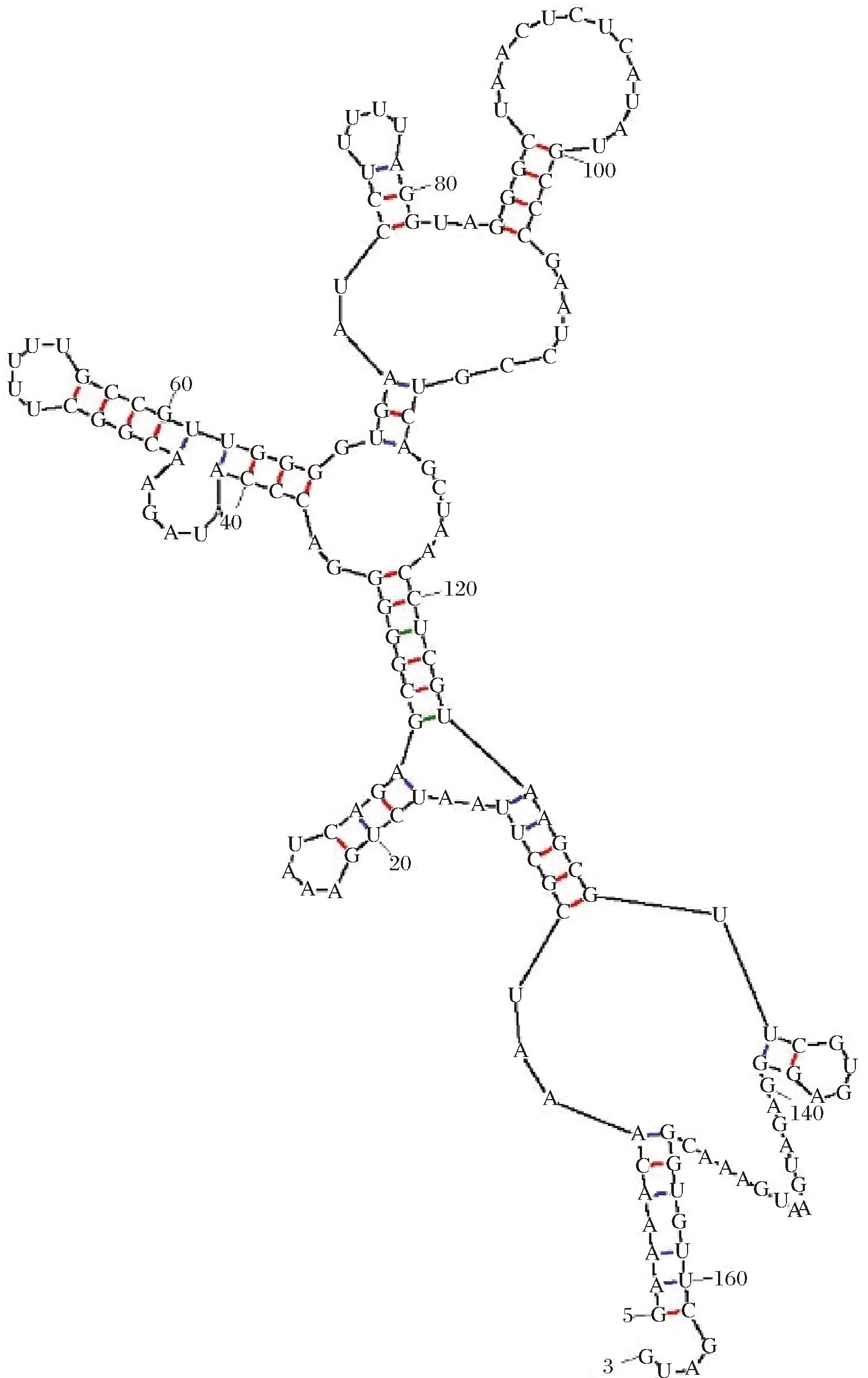 width=302,height=480,dpi=110