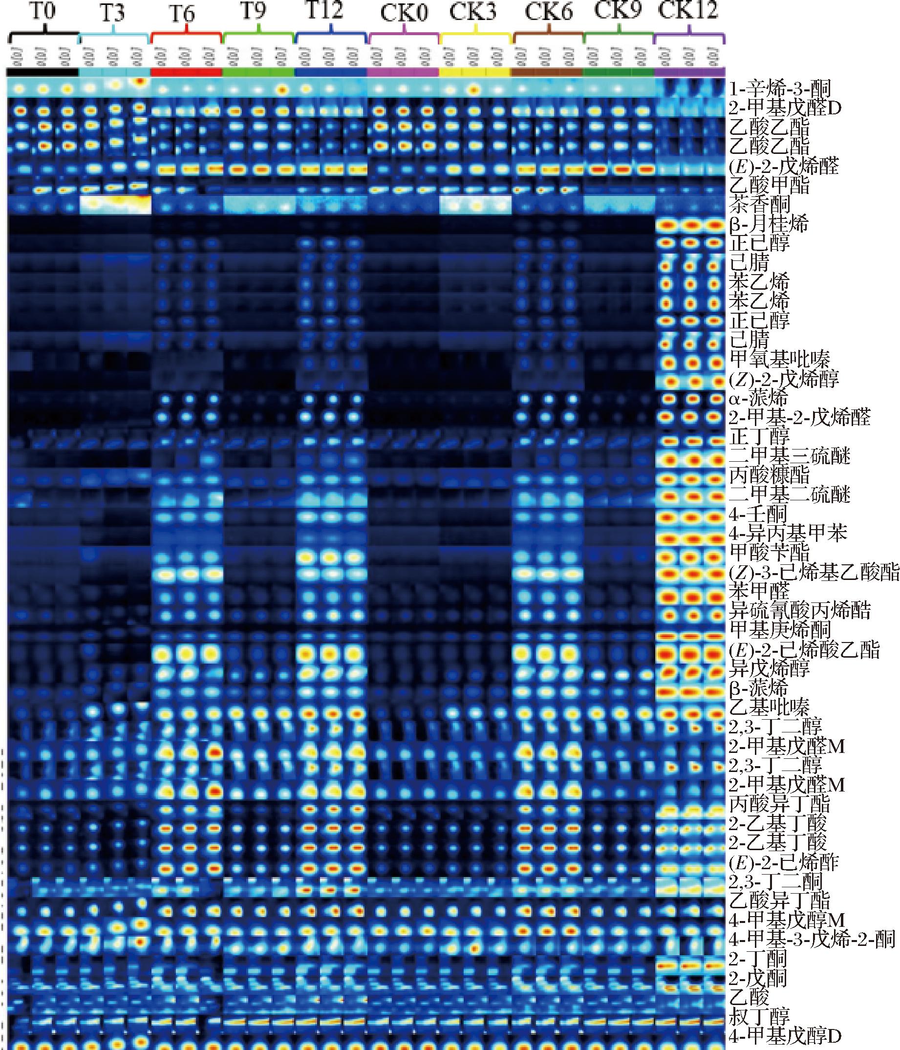 width=337,height=393,dpi=110