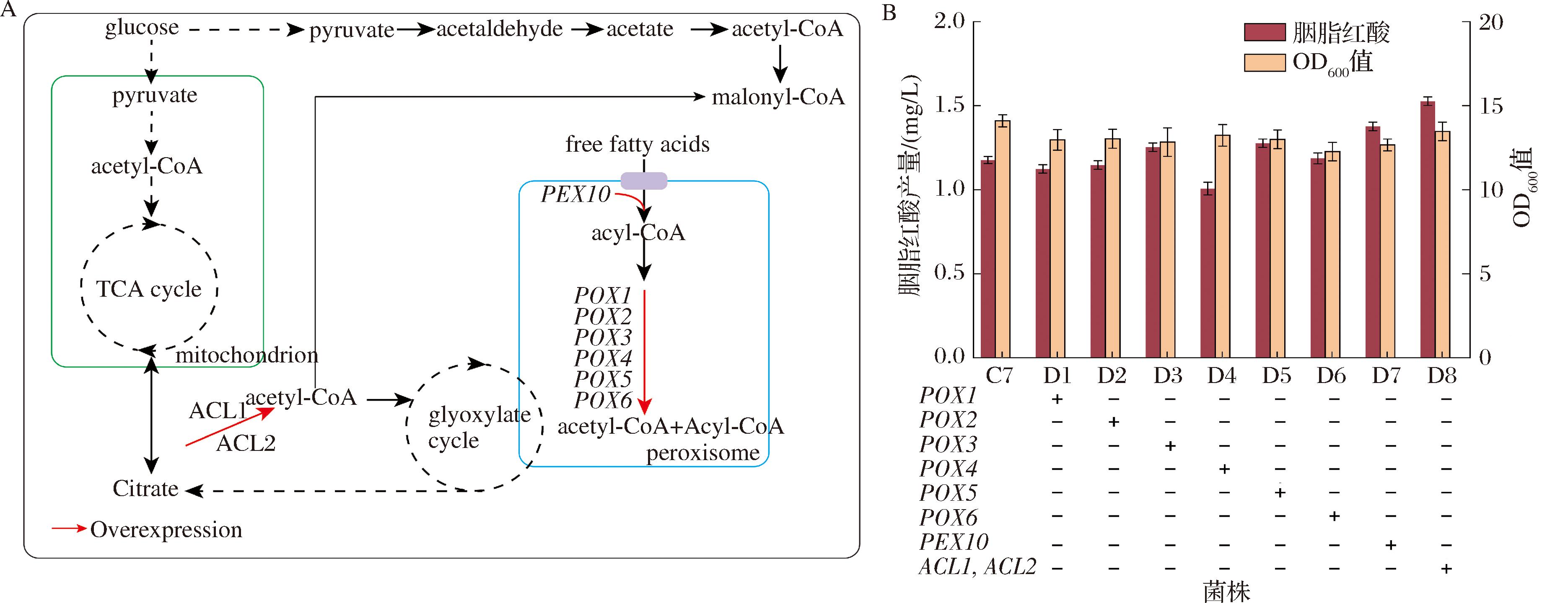 width=685,height=263,dpi=110