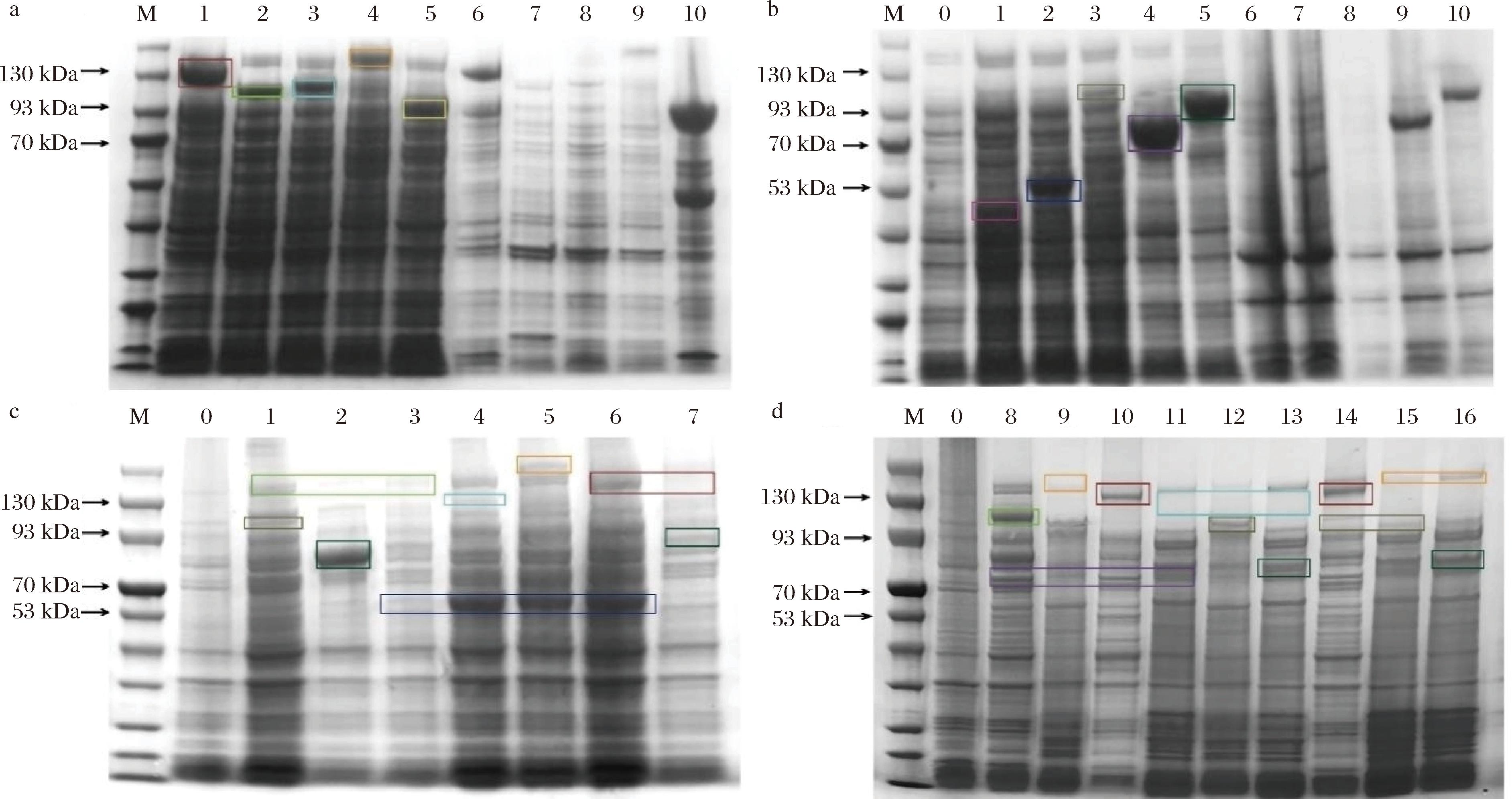 width=690,height=365,dpi=110