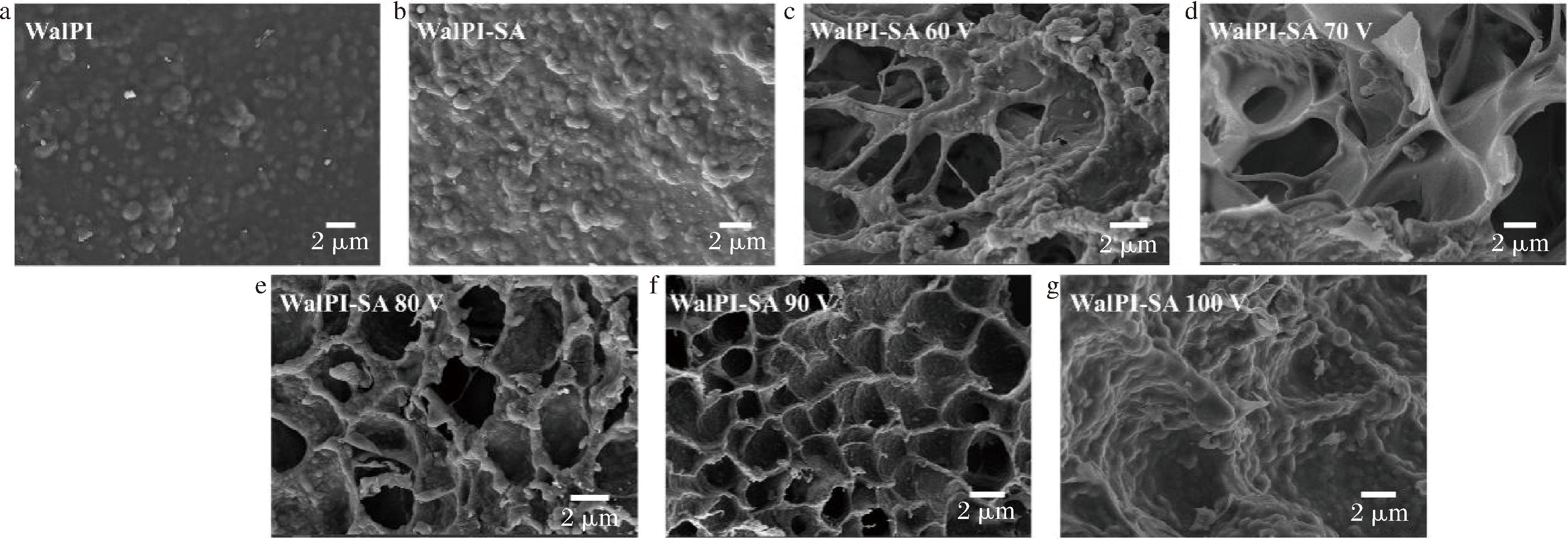 width=630,height=216,dpi=110