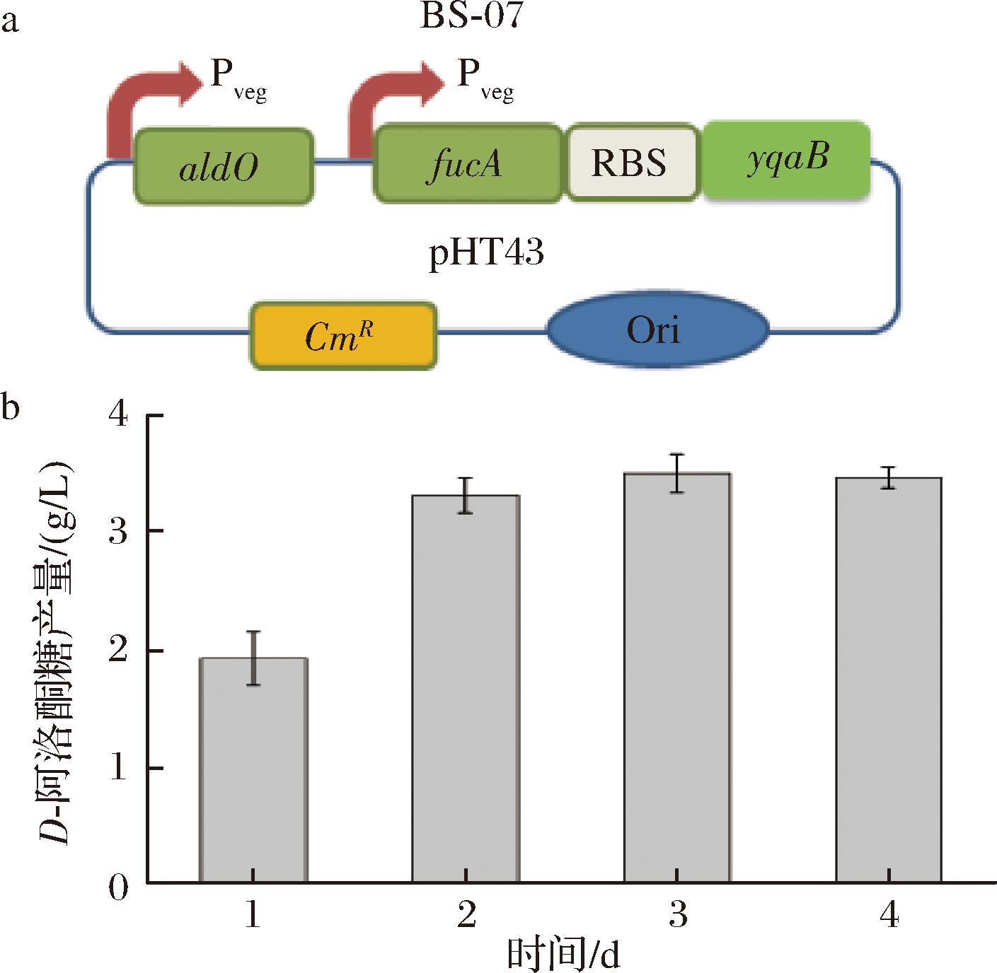 width=258,height=252,dpi=110