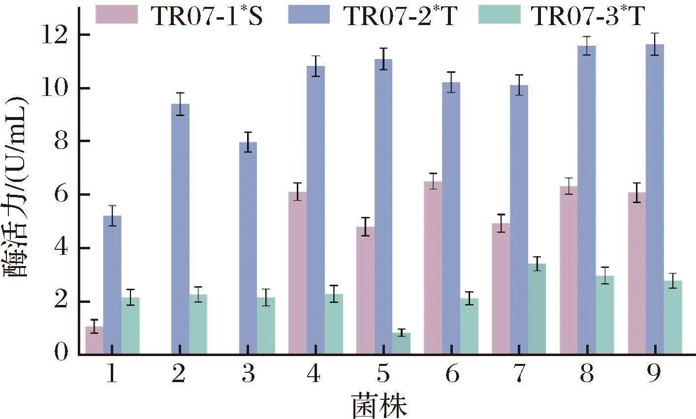 width=259,height=156,dpi=110