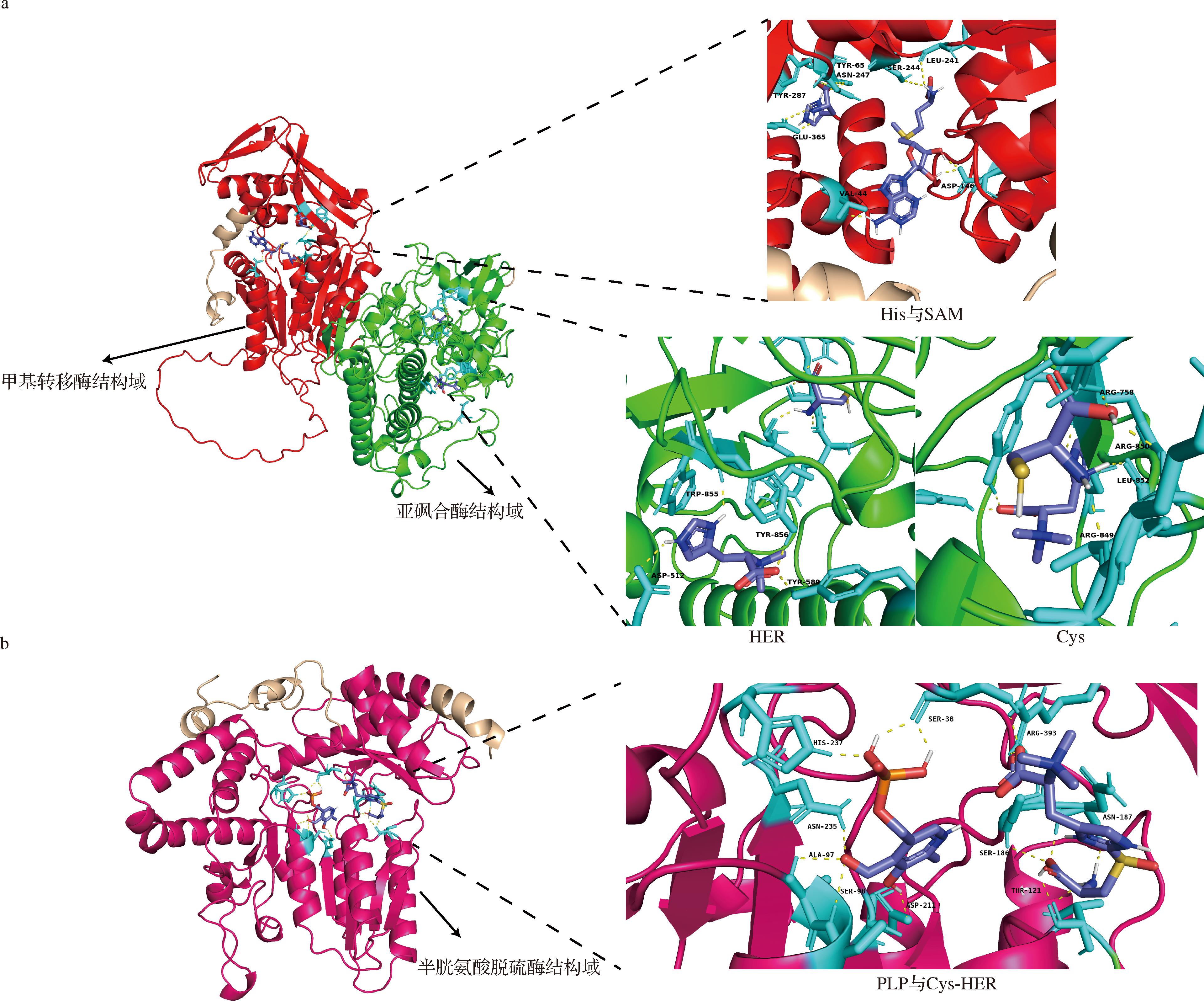 width=704,height=585,dpi=110