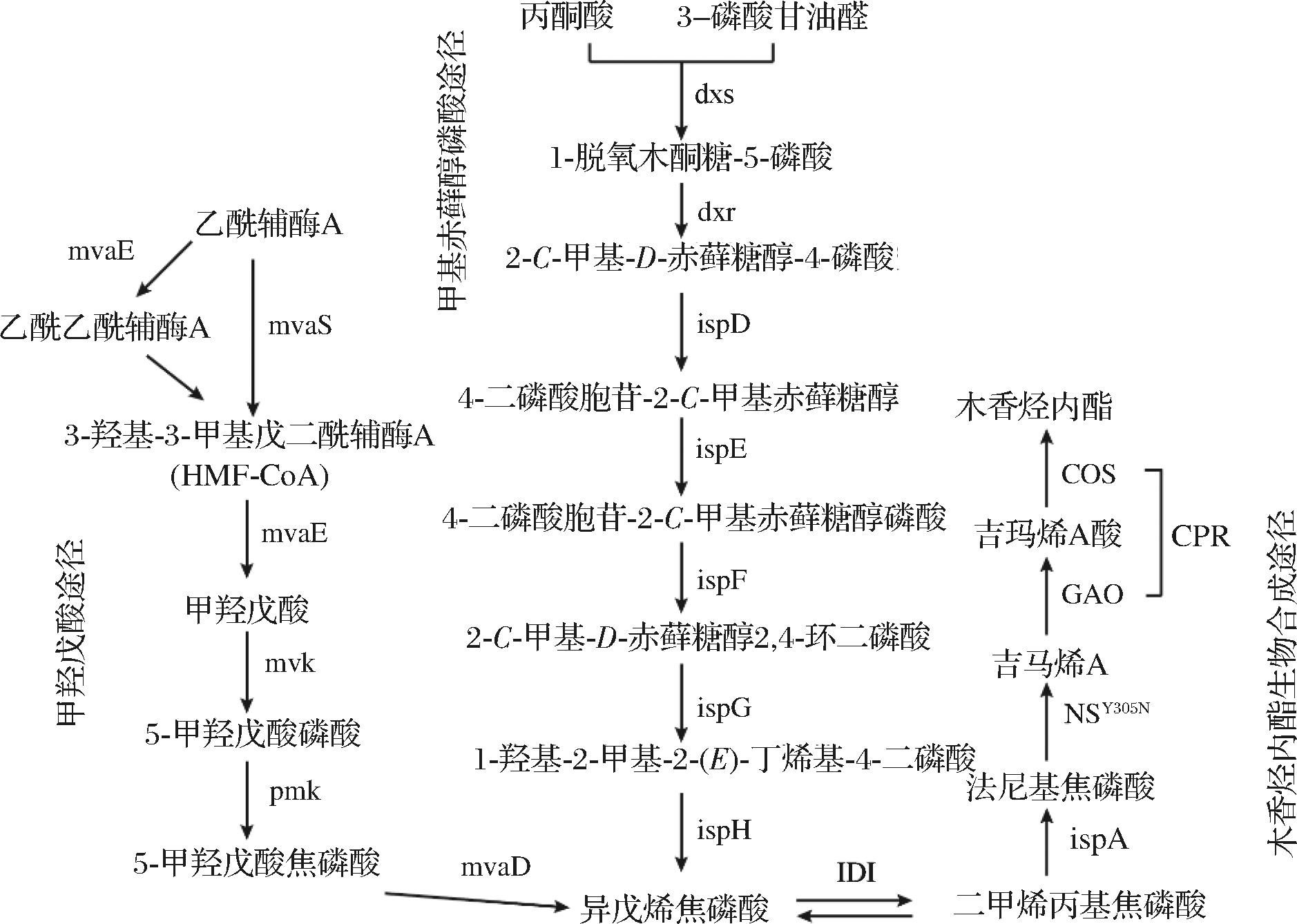 width=344,height=245,dpi=110