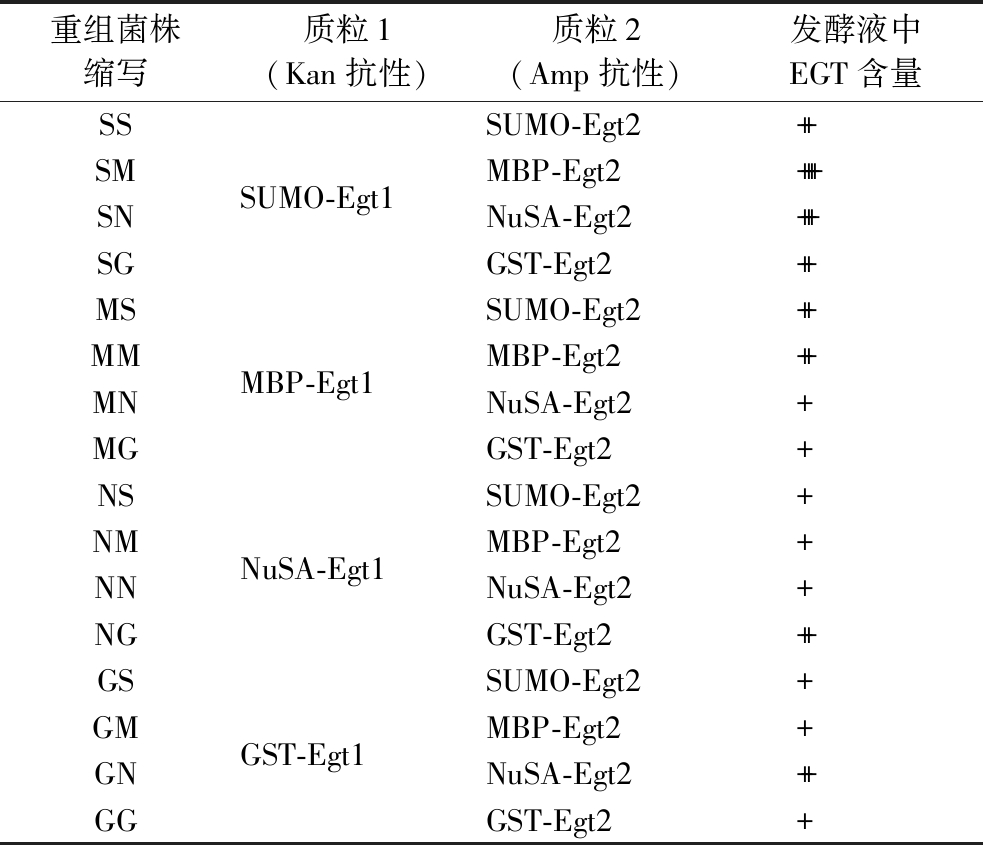 width=360,height=309,dpi=110