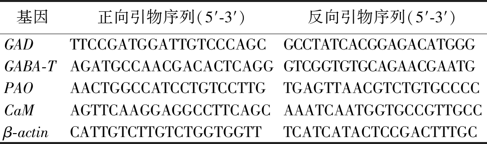 width=360,height=106,dpi=110