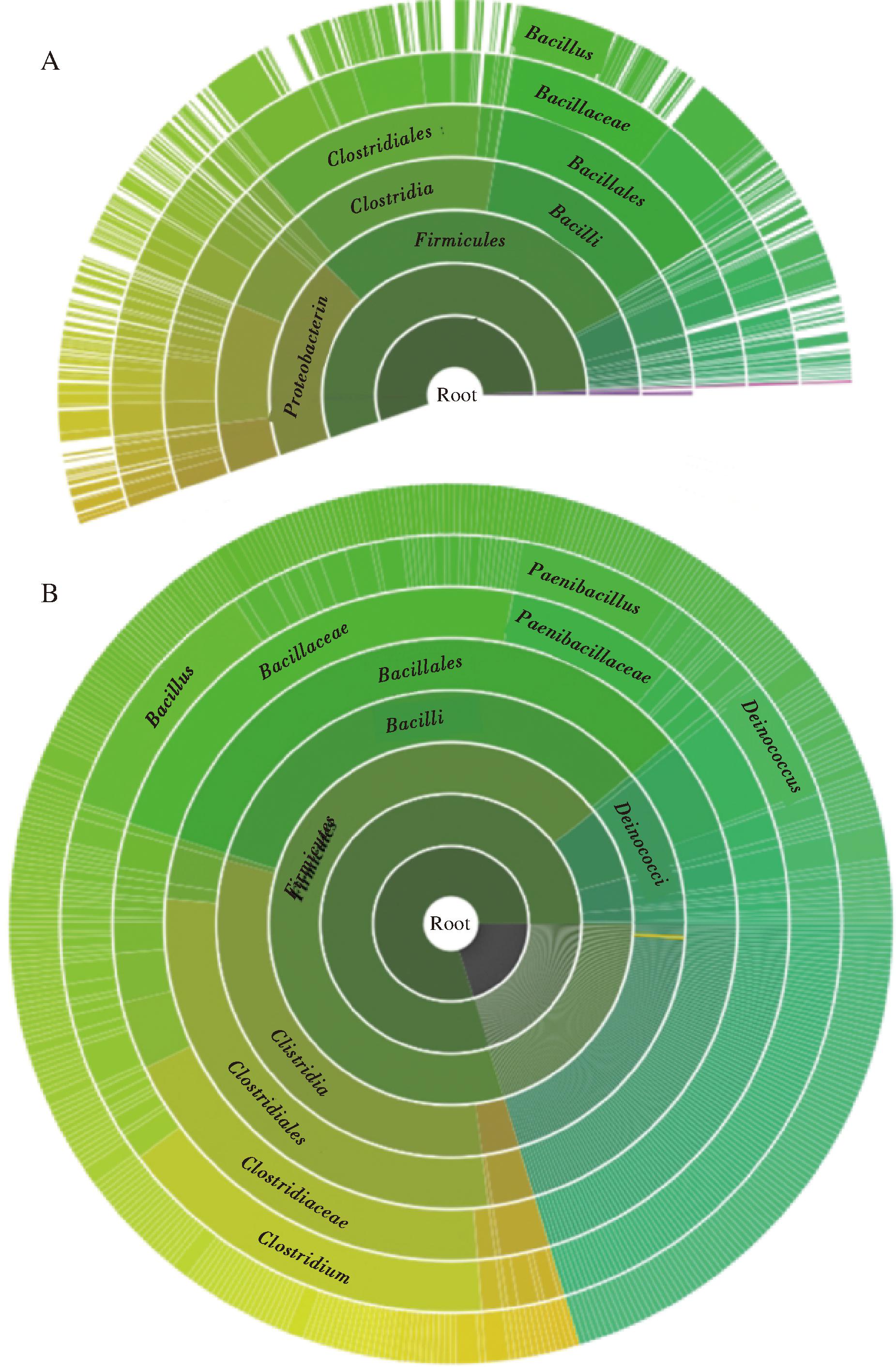 width=339,height=517,dpi=110